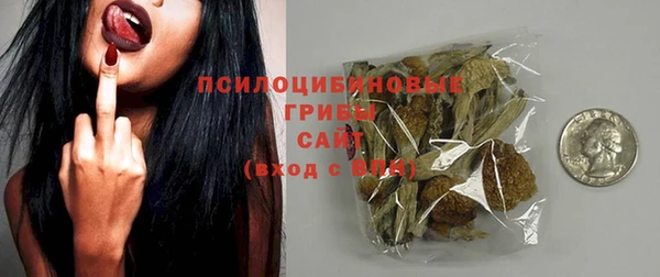 прущие грибы Белокуриха