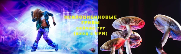 тгк Богородск