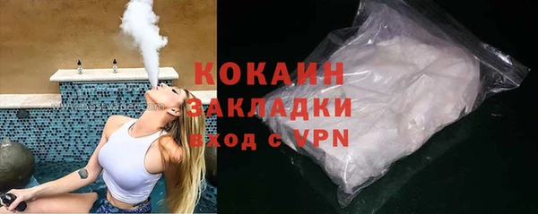 прущие грибы Белокуриха