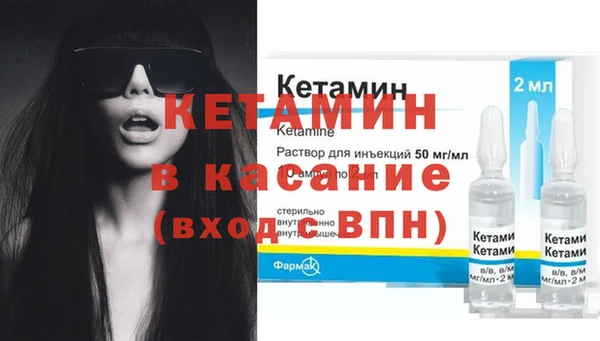 прущие грибы Белокуриха