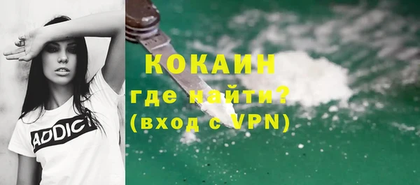 прущие грибы Белокуриха