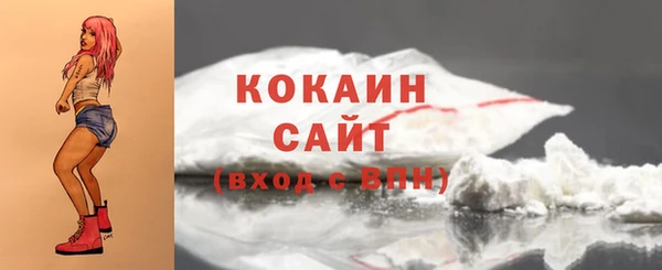 сатива Богородицк