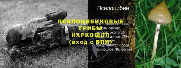 тгк Богородск
