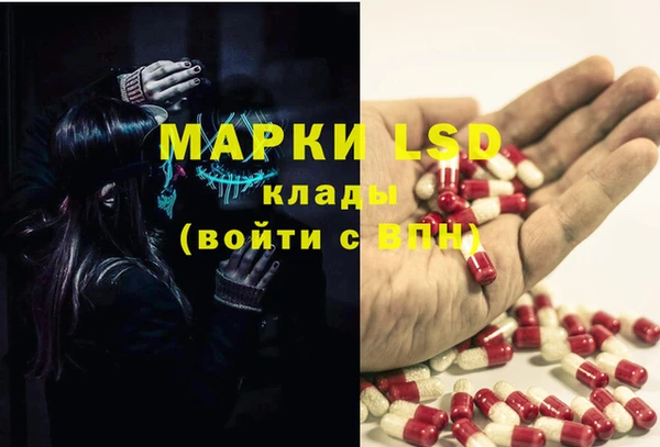гидра Артём