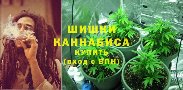 МДПВ Богданович