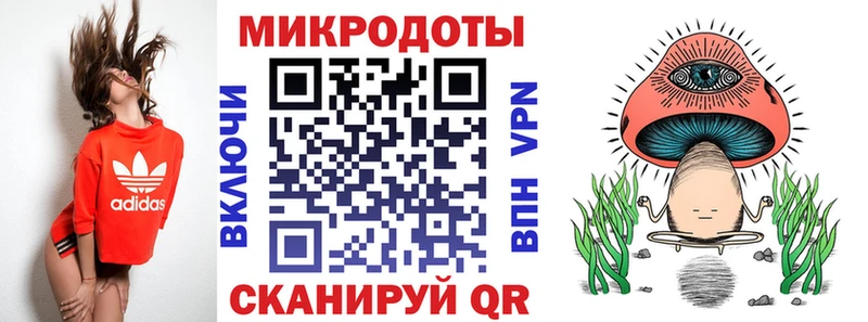 закладки  Болхов  Псилоцибиновые грибы Psilocybine cubensis 